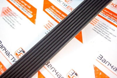 3972379 Приводной ребристый ремень для Cummins C8.3